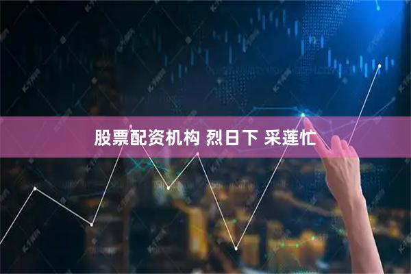股票配资机构 烈日下 采莲忙