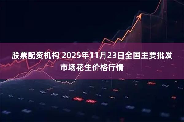 股票配资机构 2025年11月23日全国主要批发市场花生价格行情
